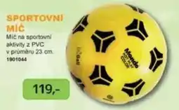 Dráčik SPORTOVNÍ MIČ nabídka
