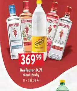 Astur&Qanto BEEFEATER nabídka