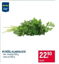 Makro Petržel hladkolistá nabídka
