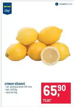 Makro Citrony džusové nabídka