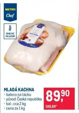 Makro MLADÁ KACHNA nabídka