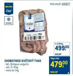 Makro Chobotnice květový tvar nabídka