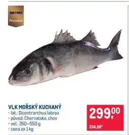 Makro Vlk mořský kuchaný nabídka