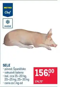Makro Sele nabídka