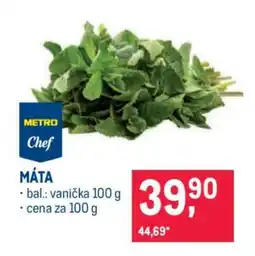 Makro Máta nabídka