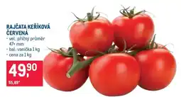 Makro Rajčata keříková červená nabídka