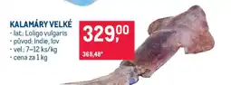 Makro Kalamáry velké nabídka