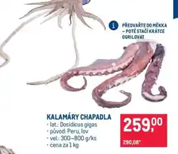Makro Kalamáry chapadla nabídka