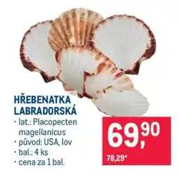 Makro HŘEBENATKA LABRADORSKÁ nabídka