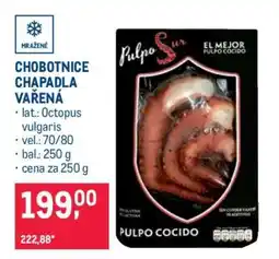 Makro Chobotnice chapadla vařená nabídka