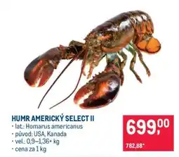 Makro HUMR AMERICKÝ SELECT II nabídka