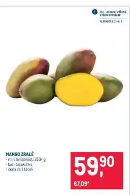 Makro Mango zralé nabídka