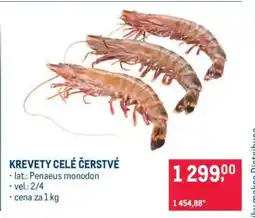 Makro Krevety celé čerstvé nabídka