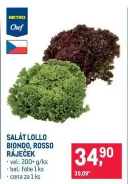 Makro SALÁT LOLLO BIONDO, ROSSO RÁJEČEK nabídka