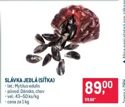 Makro Slávka jedlá (síťka) nabídka