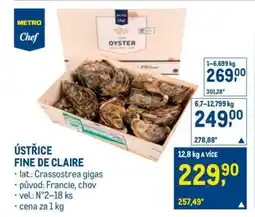 Makro Ústřice Fine de Claire nabídka