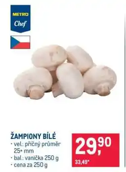 Makro Žampiony bílé nabídka