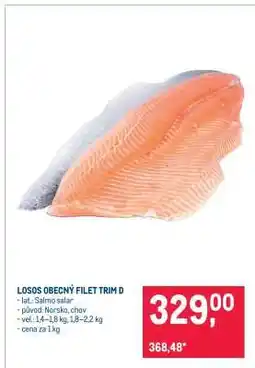 Makro Losos obecný filet trim D nabídka