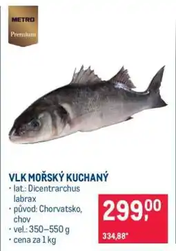 Makro Vlk mořský kuchaný nabídka