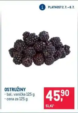 Makro Ostružiny nabídka