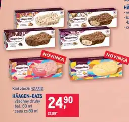 Makro Häagen Dazs nabídka