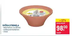 Makro SVÍČKA CITRONELA nabídka