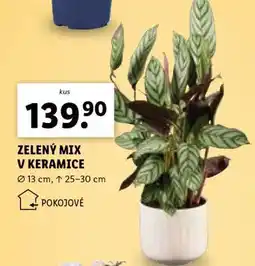 Lidl ZELENÝ MIX V KERAMICE nabídka