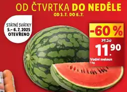 Lidl Meloun vodní nabídka