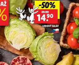 Lidl Salát ledový nabídka