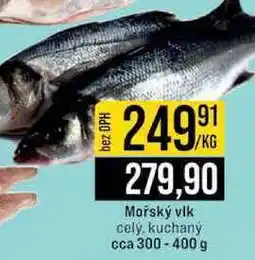 Jip Mořský vlk cely, kuchaný cca 300-400 g nabídka