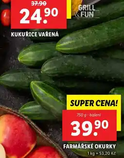 Lidl FARMÁŘSKÉ OKURKY, 750 g nabídka