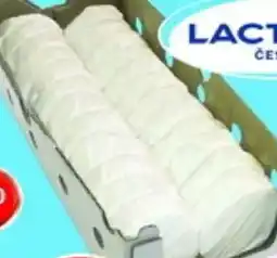 Vrtal Président Camembert gastro nabídka