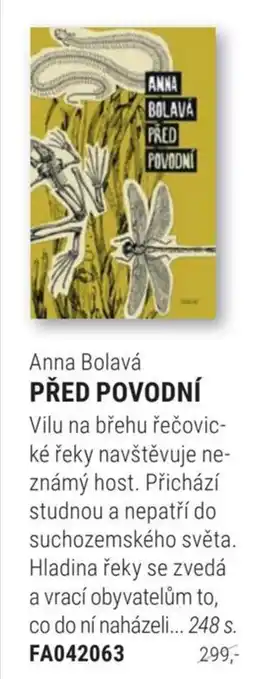 Knižní klub Anna Bolavá Před povodní nabídka
