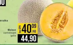 Jip Meloun cantaloupe galia 1kg nabídka