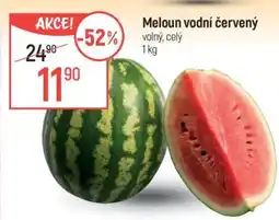 Globus Meloun vodní červený nabídka
