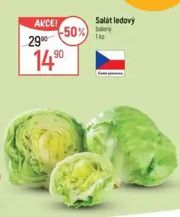 Globus Salát ledový nabídka