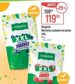 Globus Organis Borůvky sušené mrazem XXL nabídka
