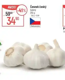 Globus ČESNEK ČESKÝ nabídka