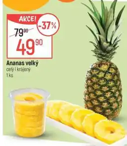 Globus Ananas velký nabídka