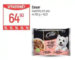 Globus CESAR KAPSIČKY PRO PSY nabídka