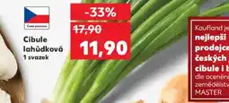 Kaufland Cibule lahůdková nabídka