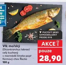 Kaufland Vlk mořský nabídka