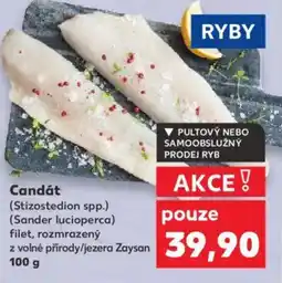 Kaufland Candát nabídka