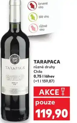 Kaufland TARAPACA nabídka