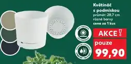 Kaufland Květináč s podmiskou nabídka