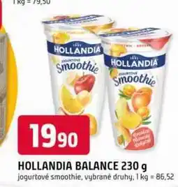 Trefa HOLLANDIA BALANCE 230 g nabídka