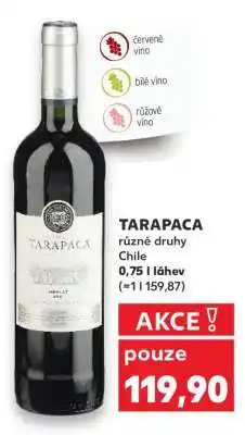 Kaufland TARAPACA různé druhy Chile nabídka