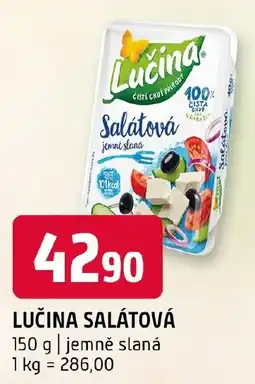 Terno Lučina salátová nabídka