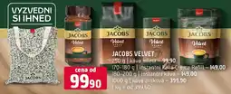 Terno JACOBS Velvet nabídka