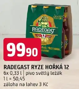 Terno Radegast Ryze hořká 12 nabídka